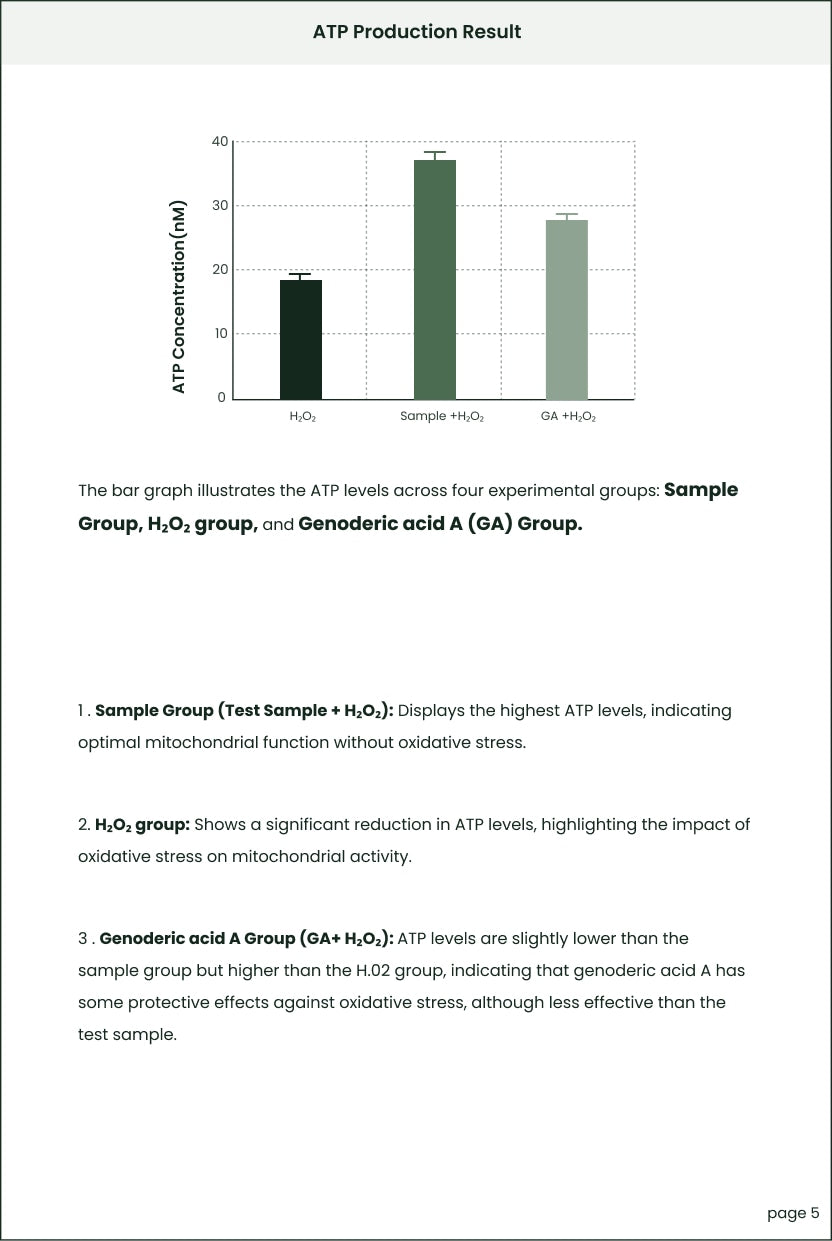RMTS20250103001-Healthy Aging