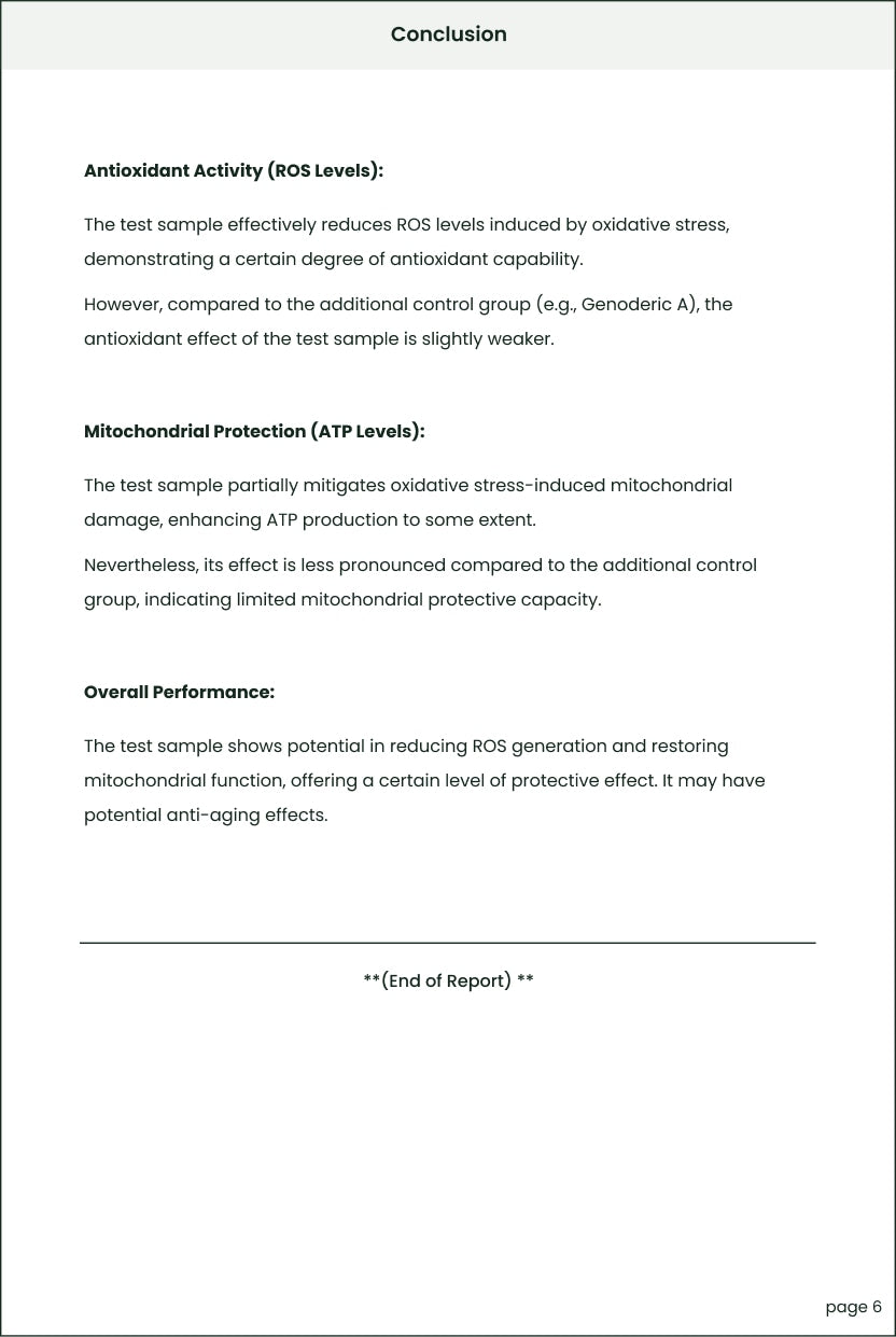 RMTS20250103001-Healthy Aging