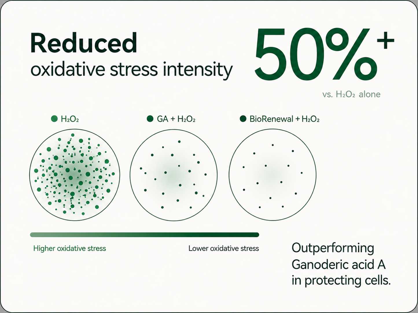 BioRenewal